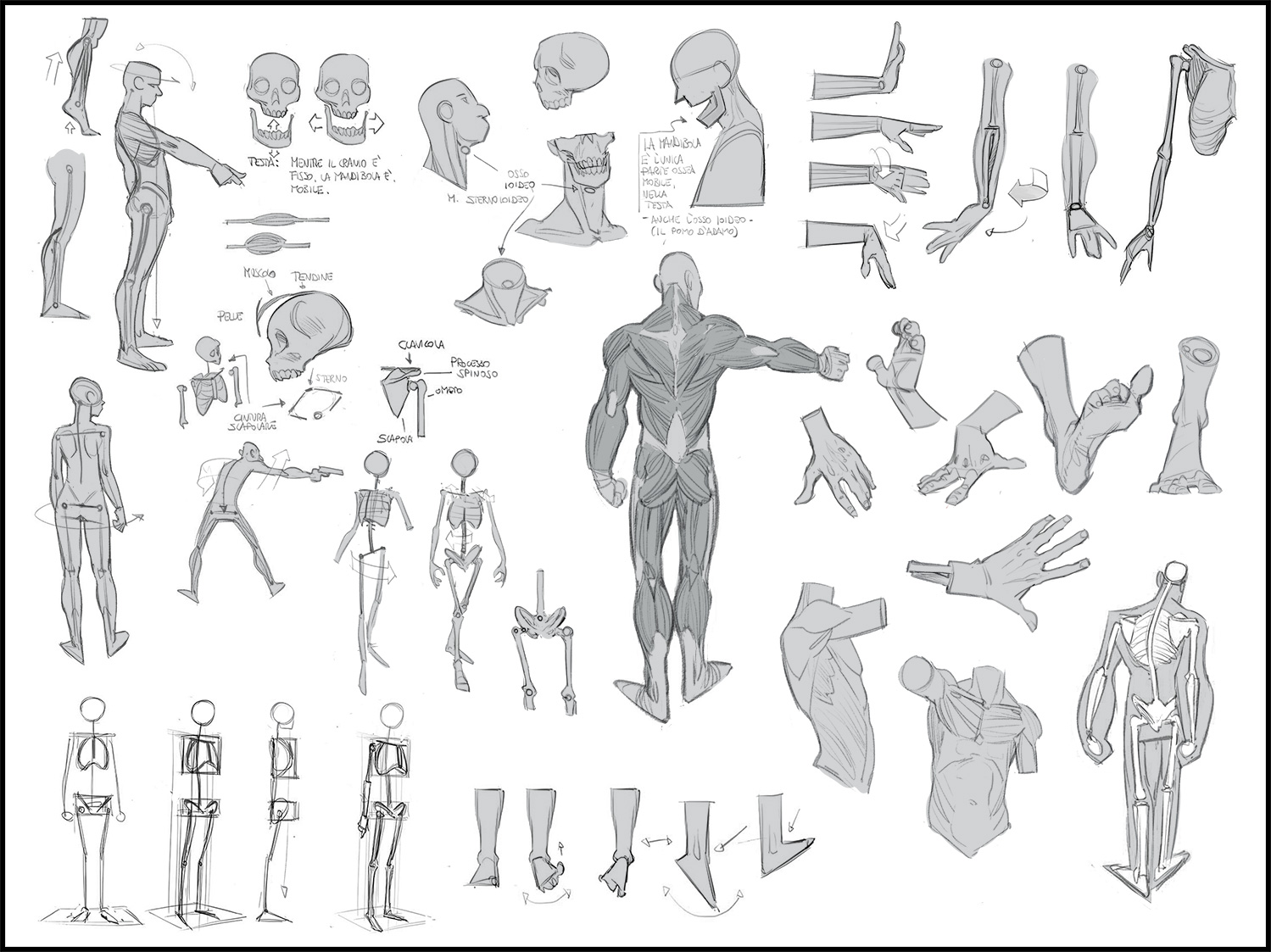 L13_Figura_1_Piana